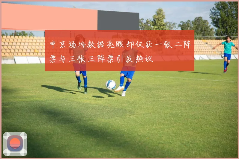 申京场均数据亮眼却仅获一张二阵票与三张三阵票引发热议