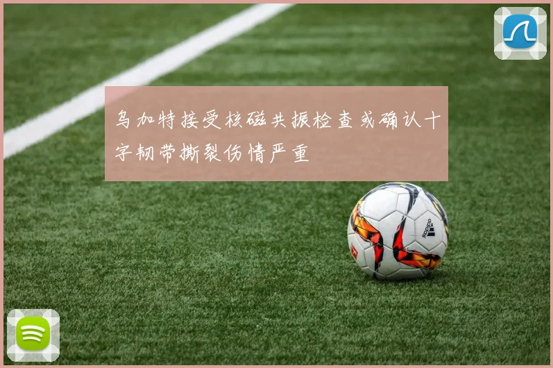 乌加特接受核磁共振检查或确认十字韧带撕裂伤情严重